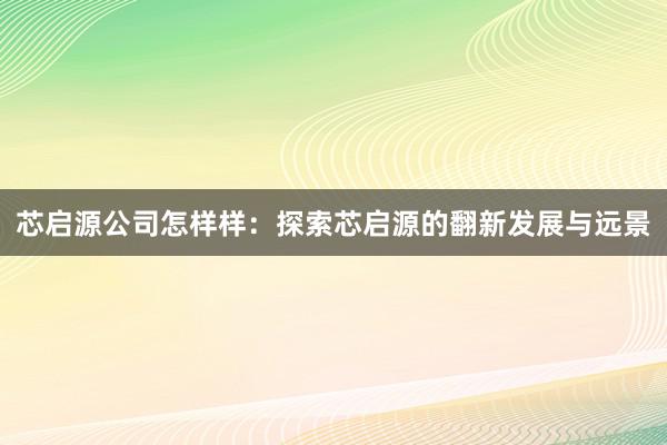 芯启源公司怎样样：探索芯启源的翻新发展与远景